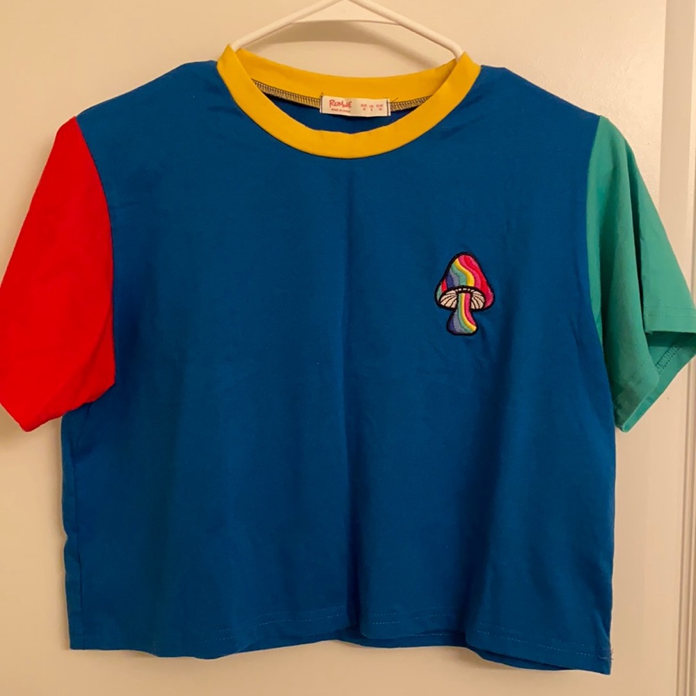 Mushroom Embroidery Colorblock Crop Tee